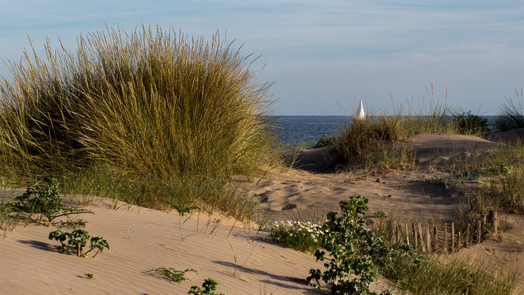 marseillan plage